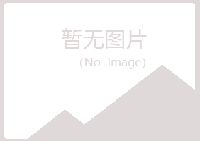 嘉峪关盼山能源有限公司